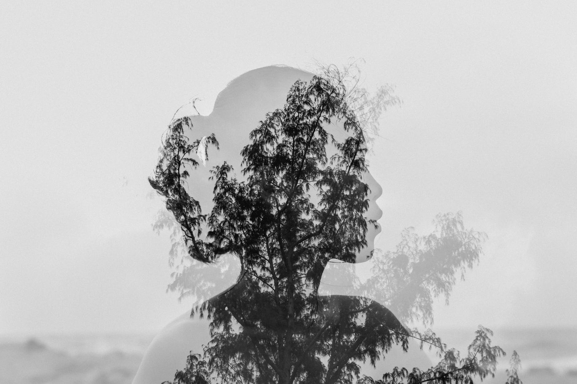 silhouette of asian woman behind tree branch near endless ocean