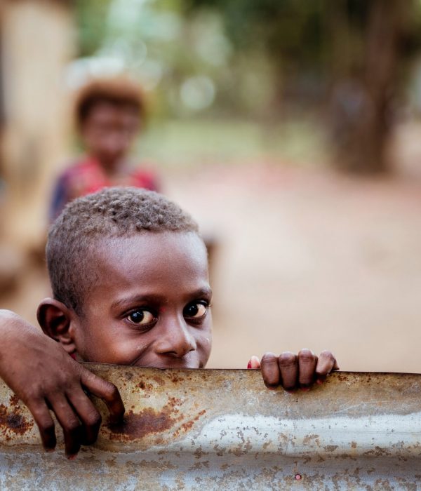 wp-16612020814862560367765036903918